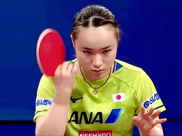 他们在国内