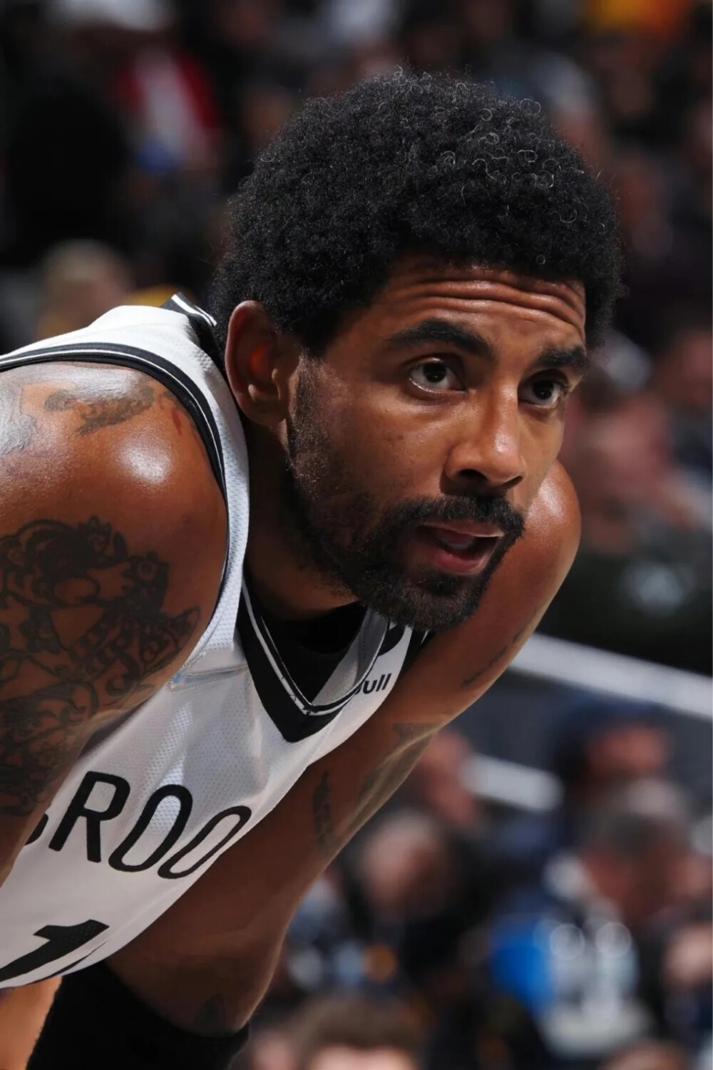 家可归的人 家可归的人