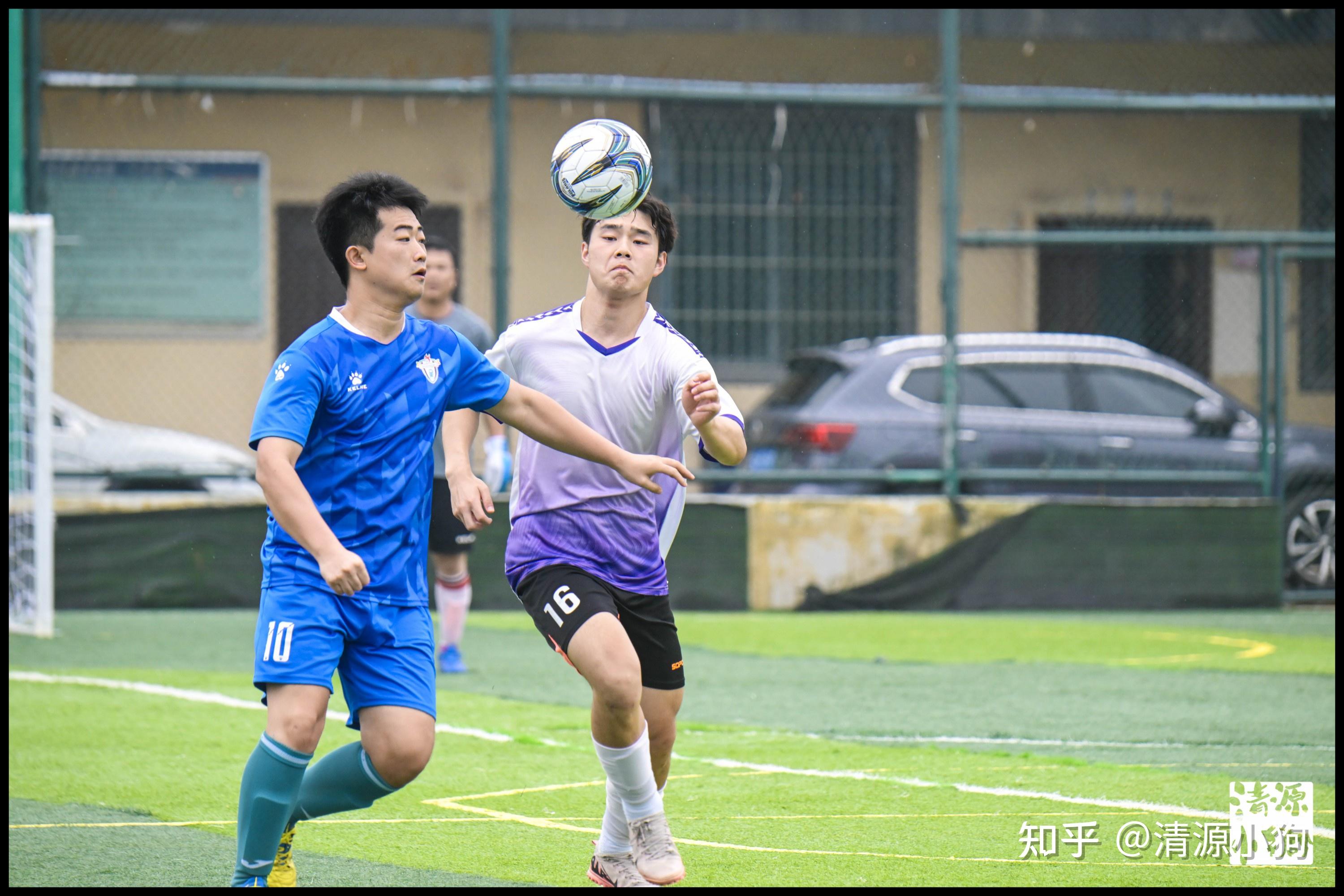 引进真正能 引进真正能