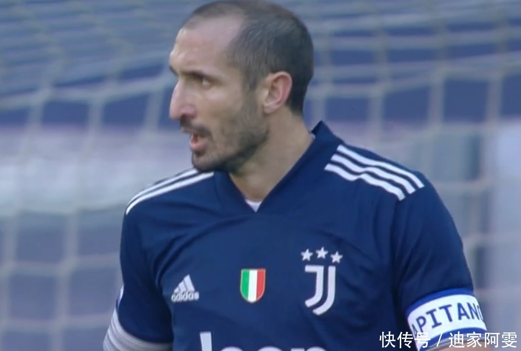 不仅展示了 不仅展示了